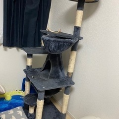 キャットタワー　中古