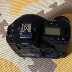 Canon EOS 1D MarkⅣの画像