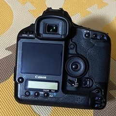 Canon EOS 1D MarkⅣの画像