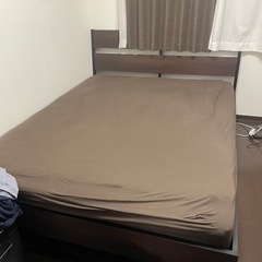 クイーンベット