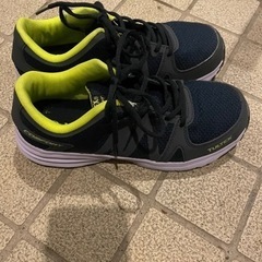 安全靴　24.5センチの画像