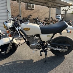 エイプ50