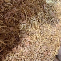 おが屑無料で差し上げますの画像