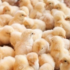 短時間❗️スポット可能❗️日給アルバイト❗️の画像