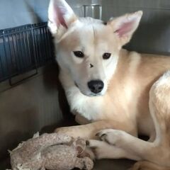 探しています！