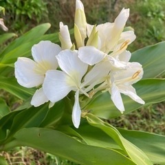 南浦和　木曜🌼🌼大人クラスの画像