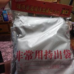 今月処分‼️任天堂DS Liteと非常用持ち出し袋セットです。の画像