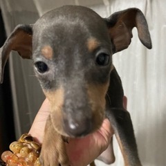大幅値下げしました！