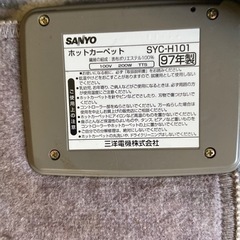 1畳ホットカーペットの画像