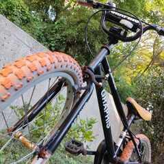 子供用自転車 20インチ(130cm～) BMX タイプ GRAPHIS グラフィス <ジャンク品>サビあり,グリップ/サドル表面傷みありの画像