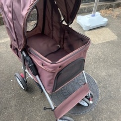 　　決まりましたの画像