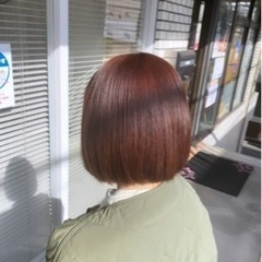 11月10日 19時からショートカットモデル募集中‼️