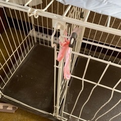 犬のゲージの画像