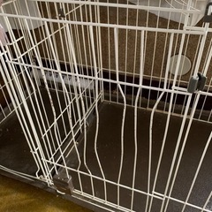 犬のゲージの画像