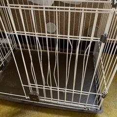 犬のゲージの画像