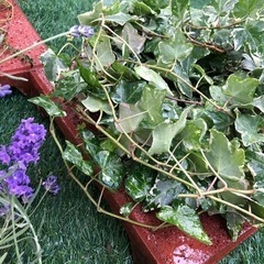 差し上げます♪４点set(^^)の画像