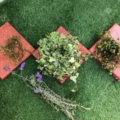 差し上げます♪４点set(^^)