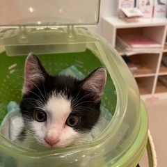 生後１ヶ月前後男の子