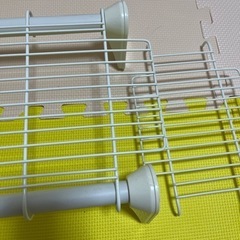 60〜７０センチ？の画像