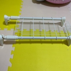 60〜７０センチ？の画像