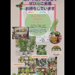 はんどめいどzakkaマーケットinサンエーパルコシティ