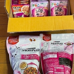 子猫の餌と爪研ぎ段ボール。