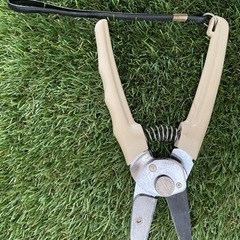 サボテン　アンビル型剪定バサミ　1270の画像