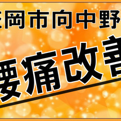 【盛岡市向中野】腰、大丈夫ですか？腰痛専門シンシア88