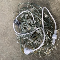 クリスマスイルミネーション他の画像