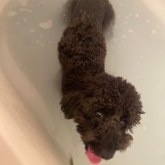 熊本に住んでいる方！