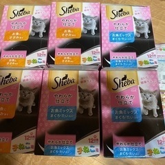 子猫用キャットフード　シーバ　やわらか仕立て