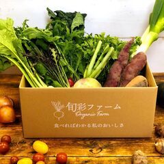 ＜急募！　時給950円＞(現在矢吹町で作業中！)玉ねぎ植えの人員募集！毎日行ってます！の画像