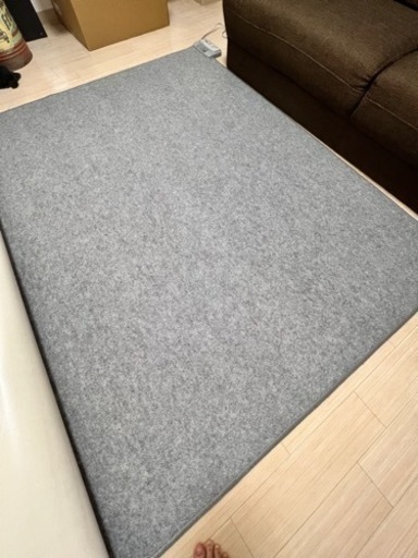 電気カーペット