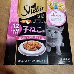 子猫用キャットフード
