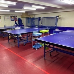 卓球🏓個人レッスン🏓シニアの方、主婦の方、大歓迎🌟の画像