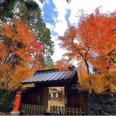 お話聞いて欲しい方、お友達募集✨