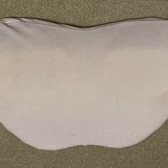 magnified バイオシェイプピロー