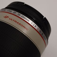 Canon EF70-200mm F2.8L IS II USM + EF 1.4x IIエクステンダー