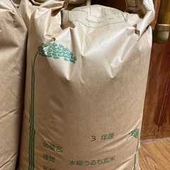 古米(令和3年産)