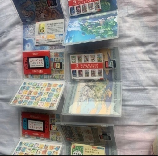 Nintendo Switch ポケモンカセット