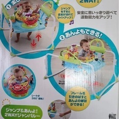 フィシャープライス【fisher price】ジャンパルーの画像