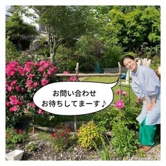 隠れ茶房　茶蔵カフェの画像
