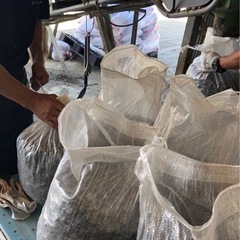 ヤード内でのガラの選別や仕分けの作業です。の画像