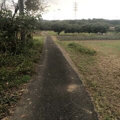 【おかげ様で本土地賃貸契約決まりました】太陽光駐車場や資材置き場に最適！事務所用プレハブ設置済！土地広！日高南平沢土地299.77坪 - 不動産