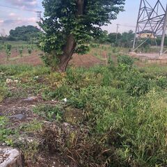 【おかげ様で本土地賃貸契約決まりました】太陽光駐車場や資材置き場に最適！事務所用プレハブ設置済！土地広！日高南平沢土地299.77坪 - 土地販売/土地売買
