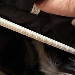 3L(小さめ)のコート レディースの画像