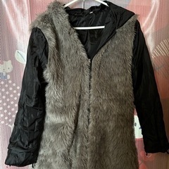 3L(小さめ)のコート レディースの画像