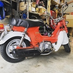 シャリー　初期型　　モンキー　ゴリラ　ダックス