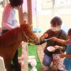 会員制乗馬クラブのお仕事です
