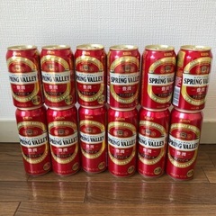 クラフトビール キリン スプリングバレー 豊潤 計12缶 お酒